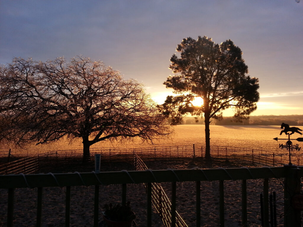 True Texas Ranches, Austin, TX, affordable property for sale, ranch land for sale, ranch,icy,morning,texas