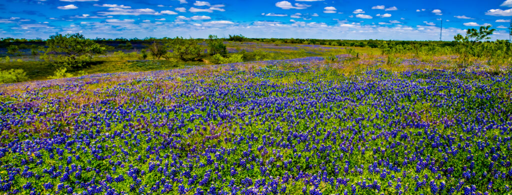 a,beautiful,panoramic,wide,angle,shot,of,a,colorful,texas, texas ranch sales near austin, True Texas Ranches