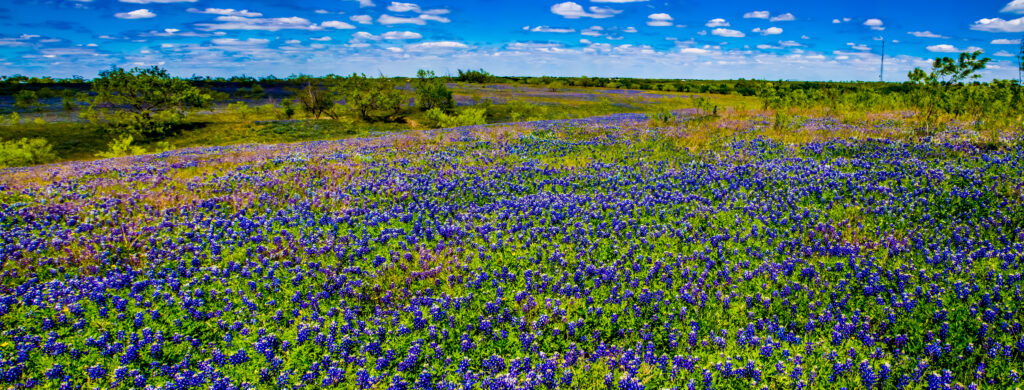 a,beautiful,panoramic,wide,angle,shot,of,a,colorful,texas, texas ranch sales near austin, True Texas Ranches