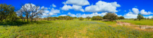 beautiful,panoramic,view,of,a,texas,hill,country,ranch,with