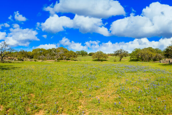 beautiful,panoramic,view,of,a,texas,hill,country,ranch,with