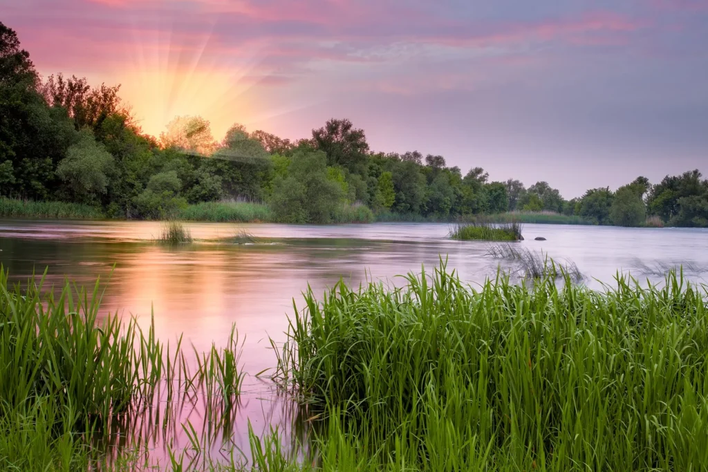 Texas ranch for sale Austin, True Texas Ranches, ranchland for sale, ranches for sale, TX, TX realty