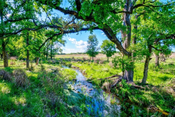land for sale Burnet County, TX, True Texas Ranches, Texas land for sale, high-value investments, acreage for sale, natural resources, land management, investing in land, investing in acreage, ranch management