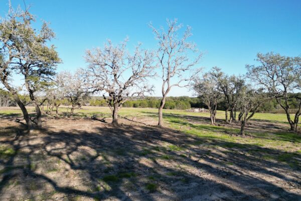 Tract 40 Burnet Oaks Estates - view