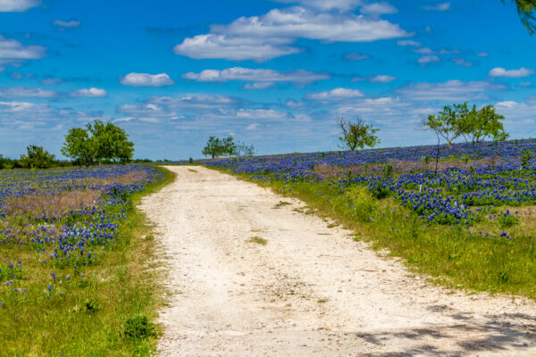 a,beautiful,wide,angle,shot,of,an,old,country,dirt